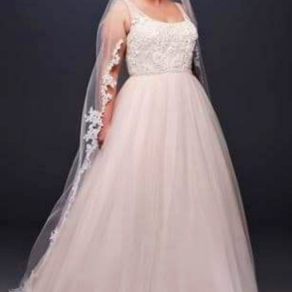 Blush Pink Wedding Dress, Size 16